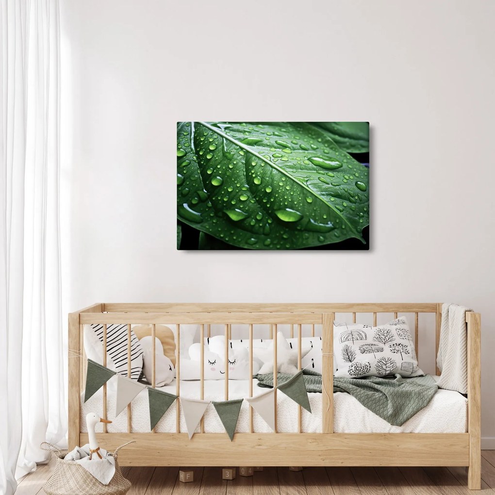 Tablou - Detaliu de frunze după ploaie (90x60 cm)