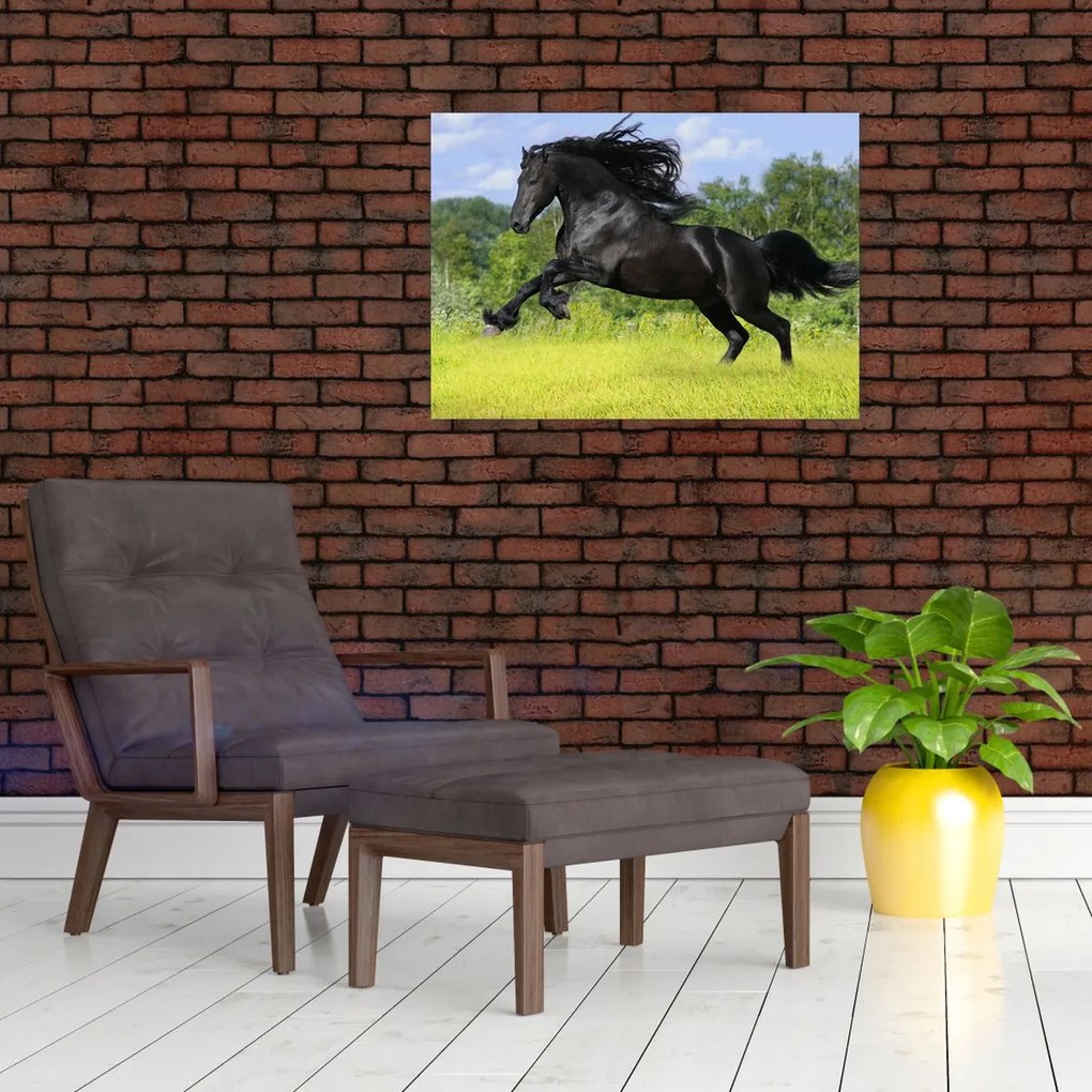 Tablou - Cal cu o coamă curgătoare (70x50 cm)