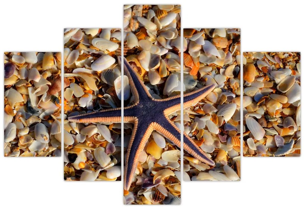 Tablou cu stea de mare (150x105 cm)