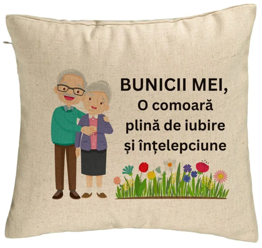 Perna Decorativa pentru Bunici 4, 40x40 cm, Bej, Husa Detasabila, Burduf