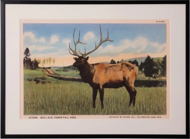Tablou decorativ, cu rama din rasina, Deer Postcard