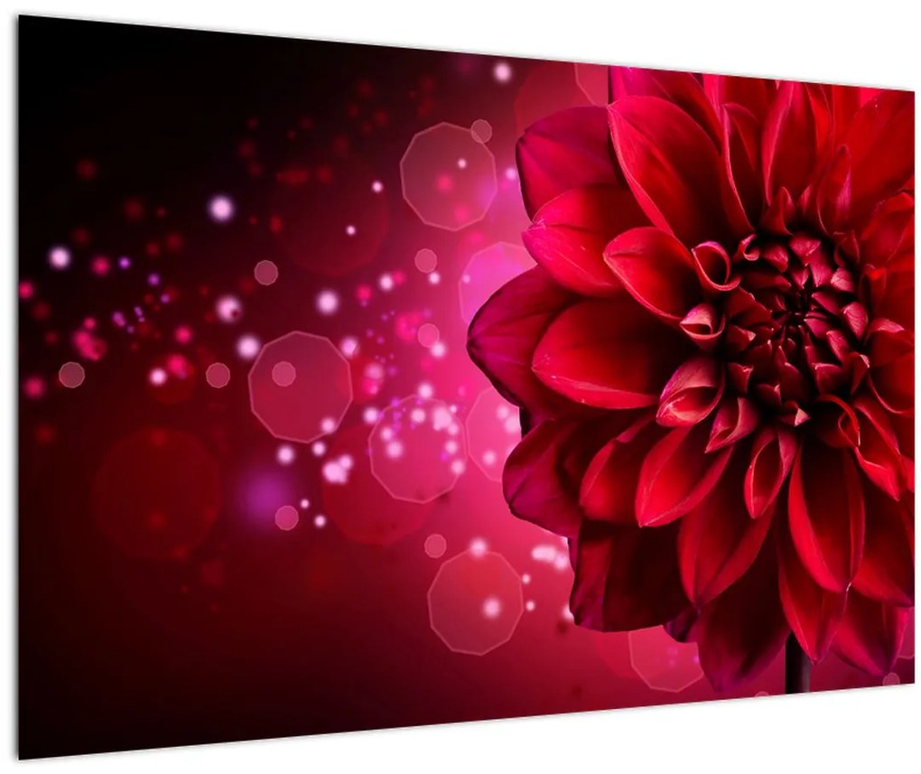 Tablou cu floare roșie (90x60 cm)