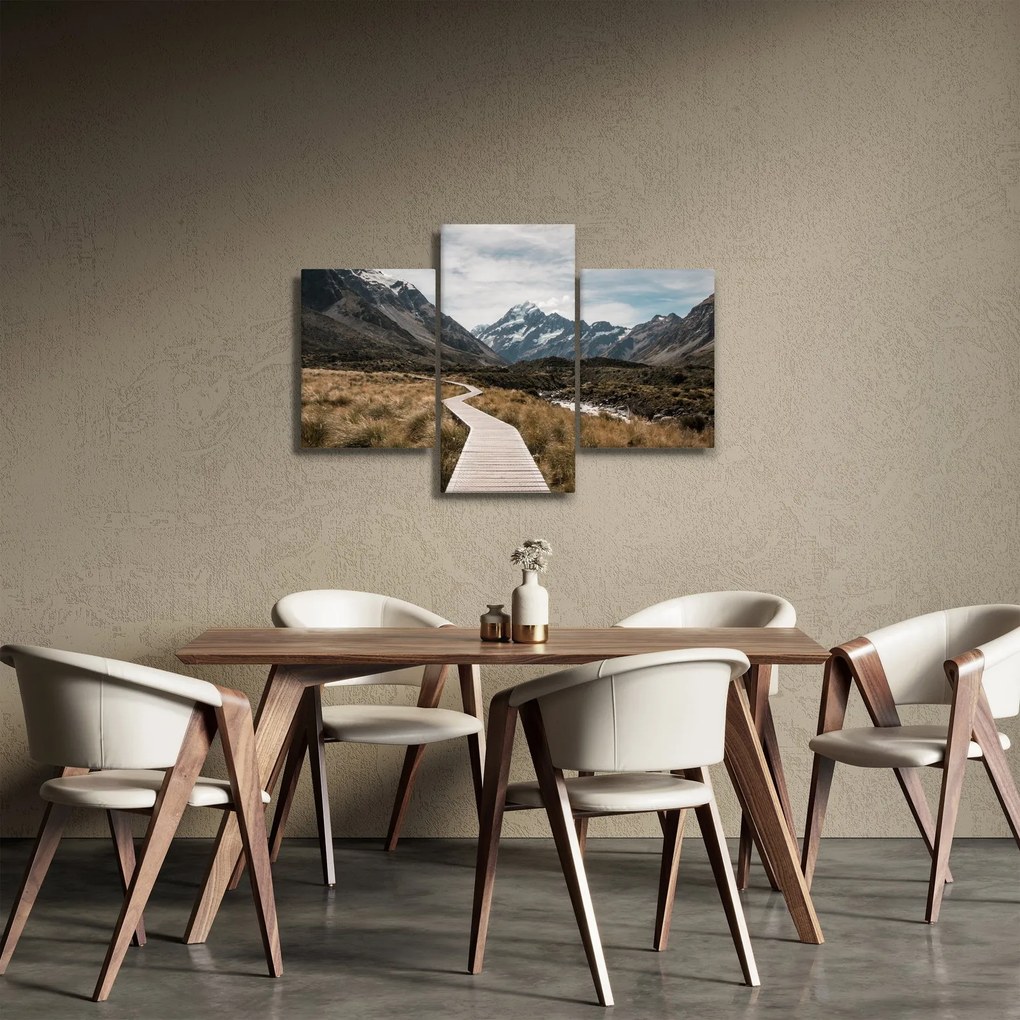 Tablou - Poteca în valea muntelui Mt. Cook (90x60 cm)