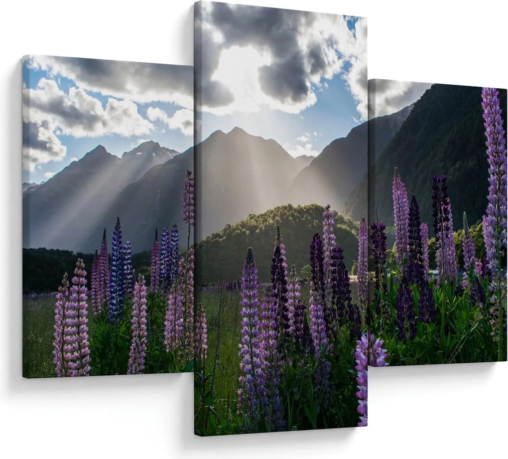 Tablou - scenariu cu flori de Lupin (90x60 cm)