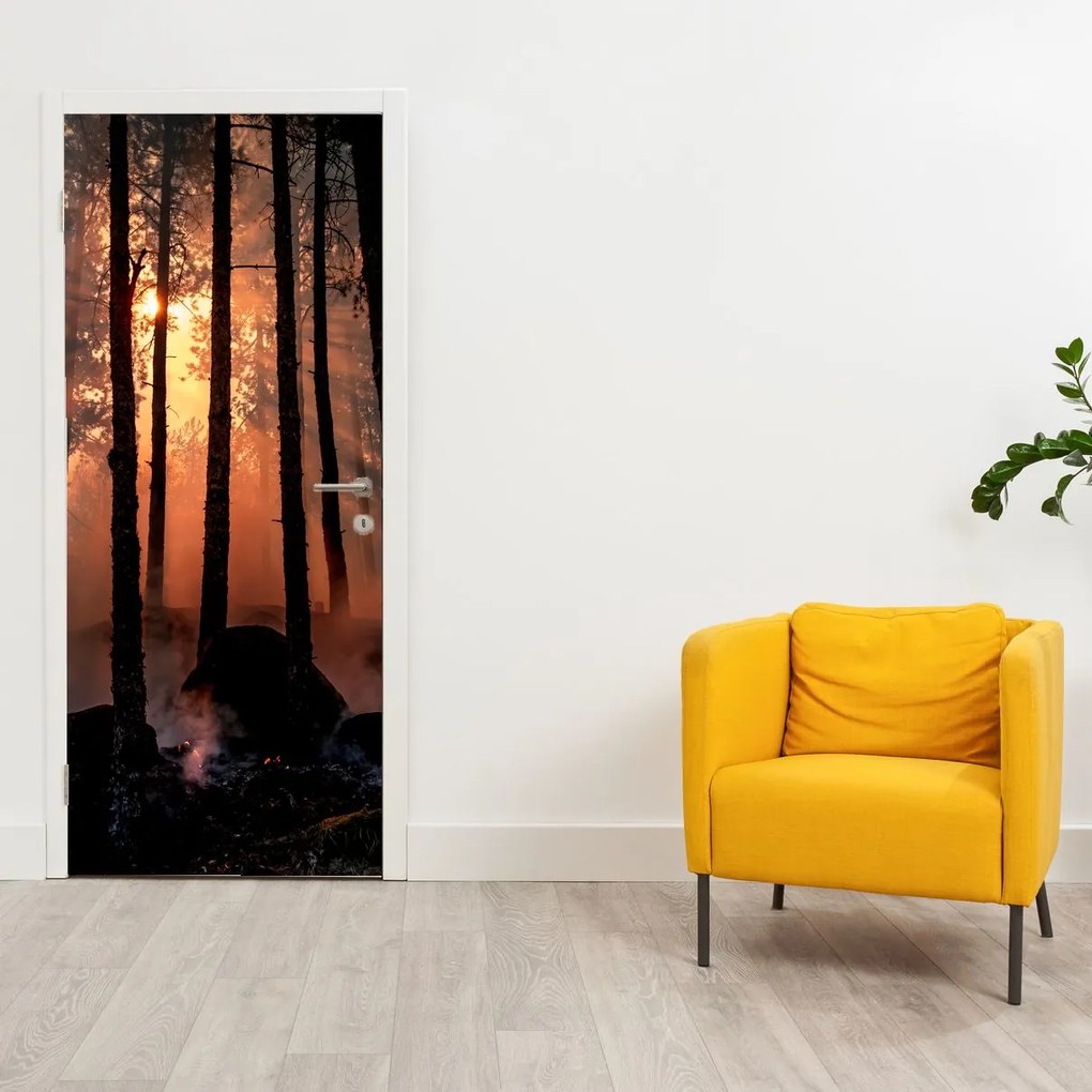 Fototapet pentru ușă - Pădurea întunecată (95x205cm)