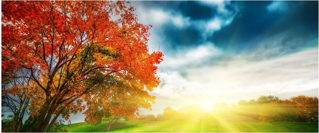 Tablou peisaj cu scufundat în razele solare (120x50 cm)