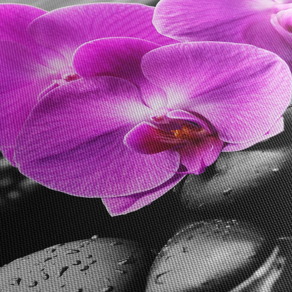 Tablou - Orhidee violet (150x105 cm)