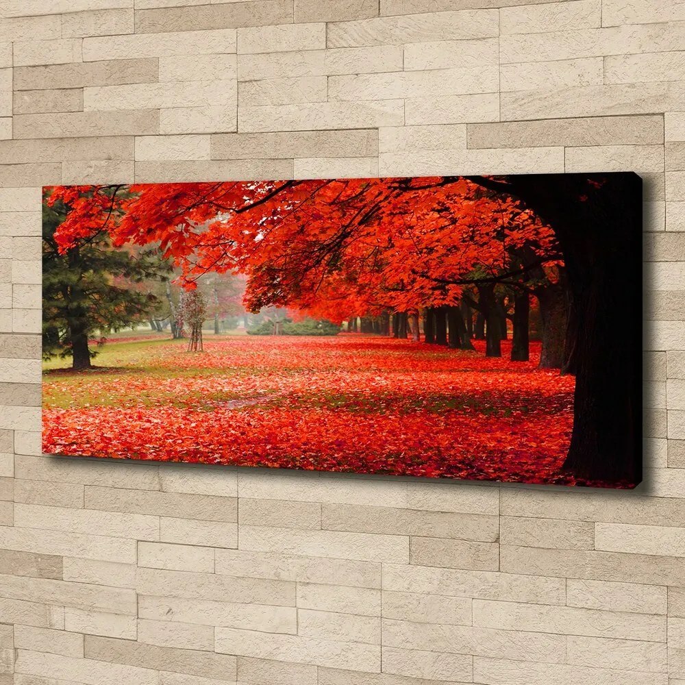 Tablou pe pânză canvas Copaci în toamna