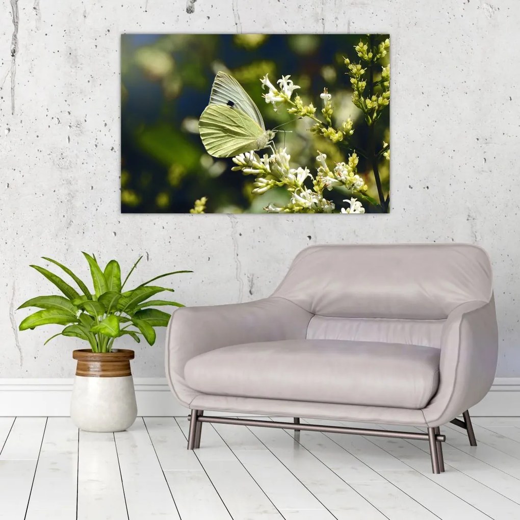 Tablou cu fluture (90x60 cm)