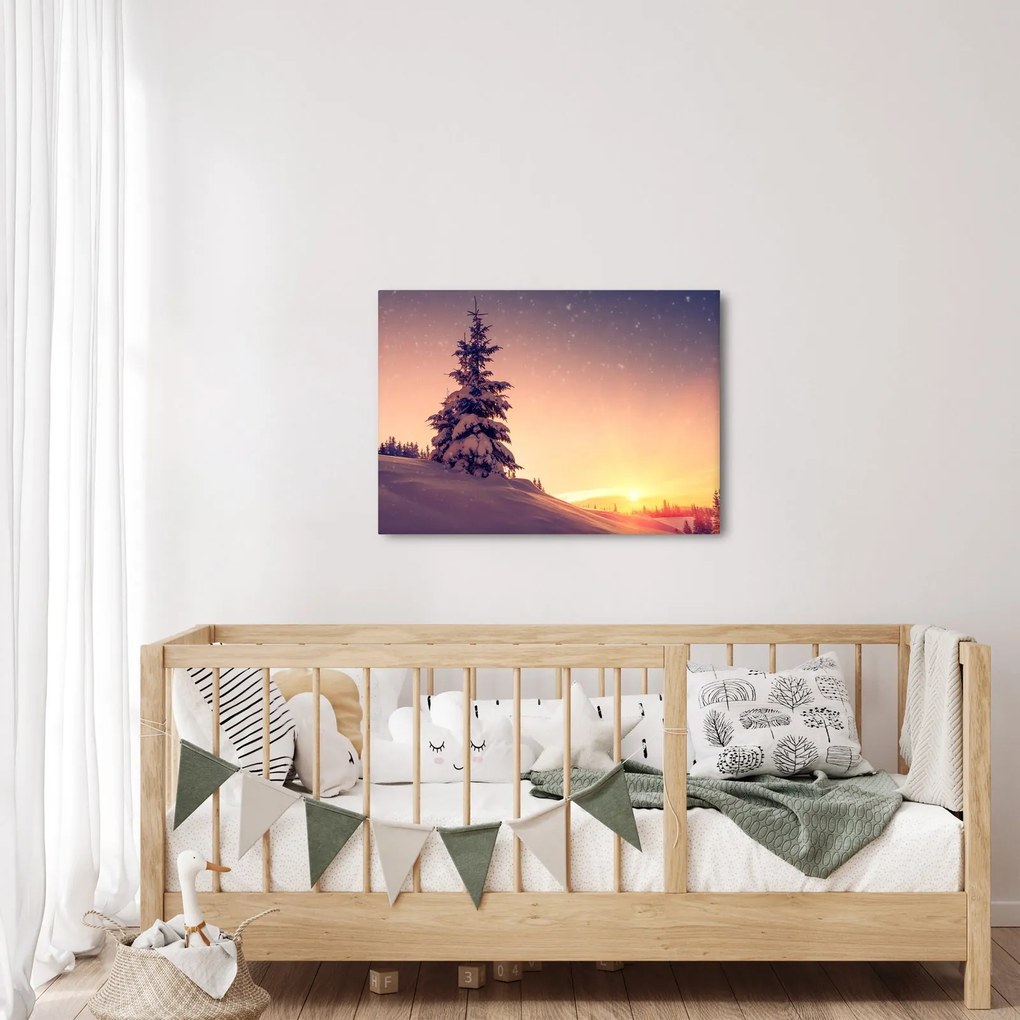 Tablou cu copac înzăpezit pe luncă (70x50 cm)