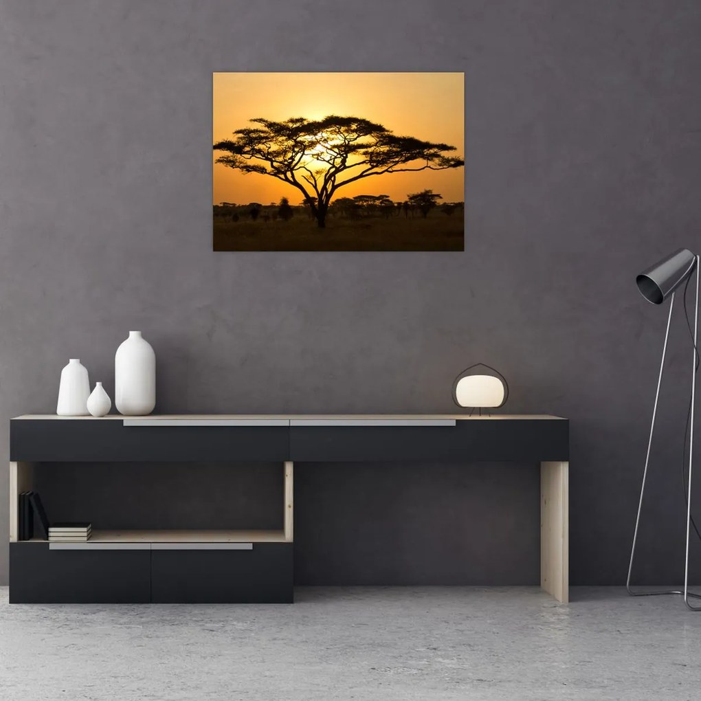 Tablou pe sticlă - Savana africană (70x50 cm)