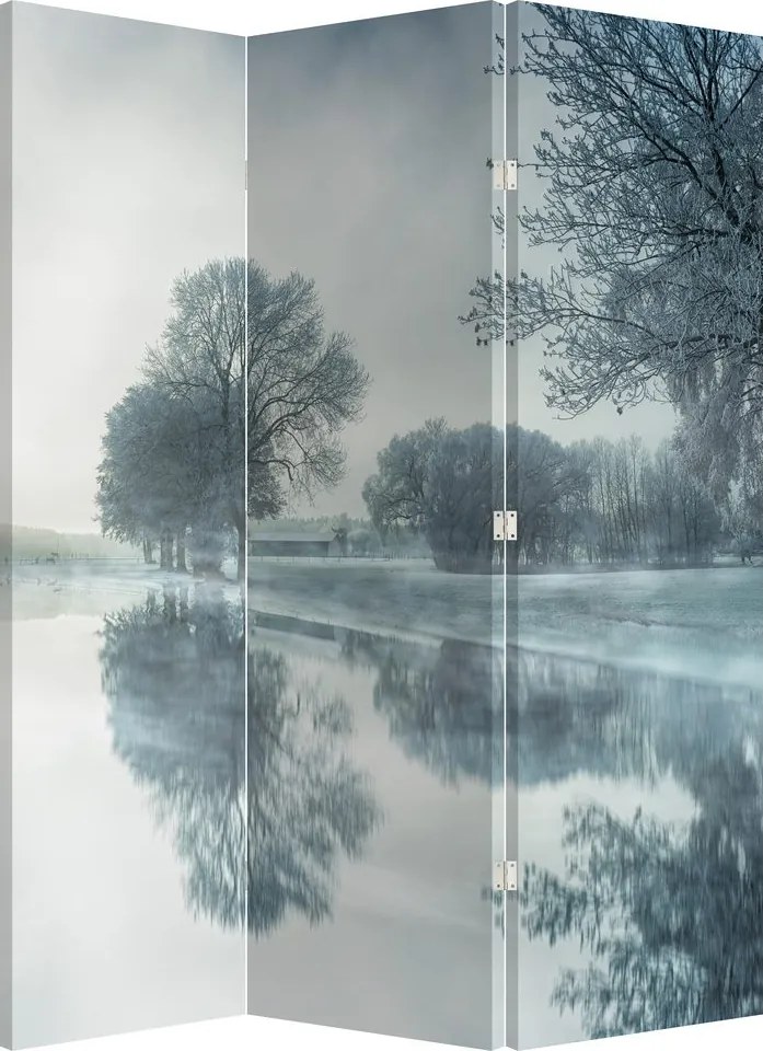 Paravan - Natura iarna (126x170 cm)
