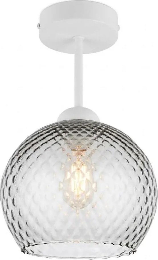 BRILAGI - Plafonieră LED aplicată R GLASS 1xE27/60W/230V Ø 25 cm alb/gri fumuriu