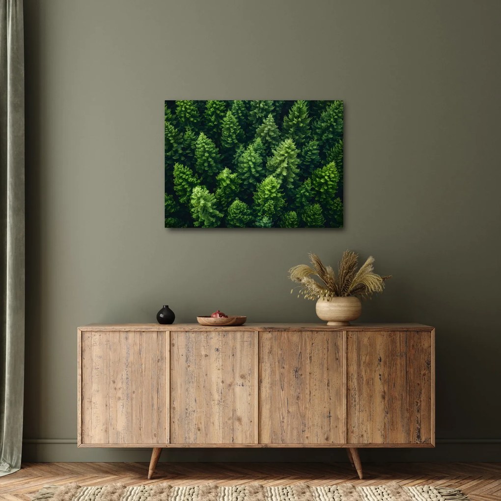 Tablou - Pădure (70x50 cm)