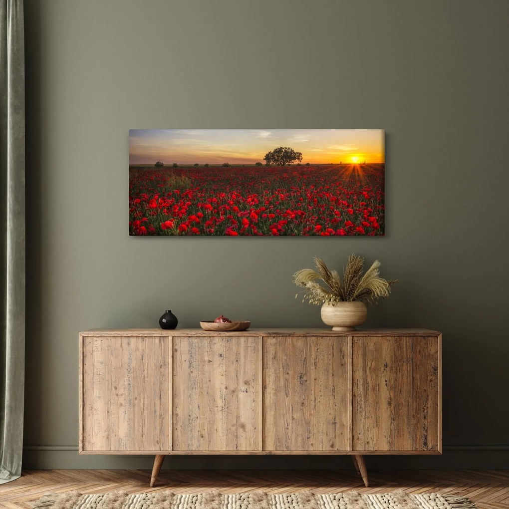 Tablou cu lunca și macii (120x50 cm)