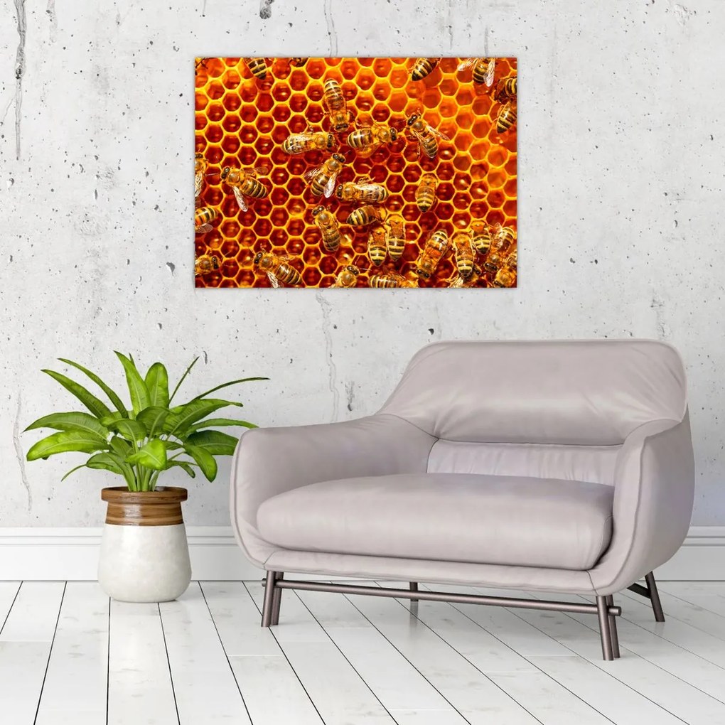 Tablou pe sticlă - Fagure de miere (70x50 cm)