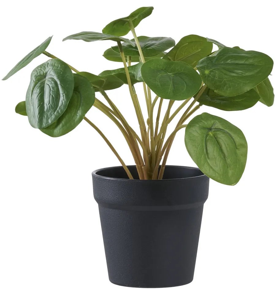 Pilea plantă artificială, verde 28 cm