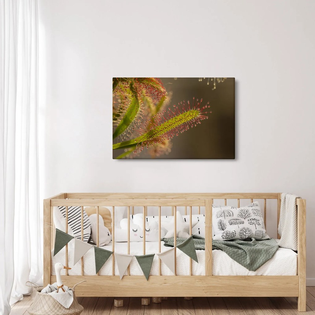 Tablou cu plantă (90x60 cm)