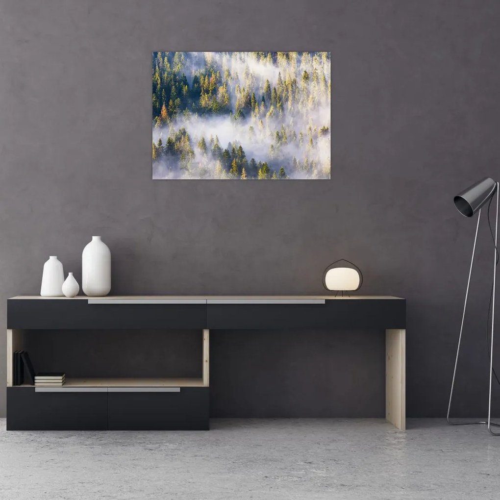 Tablou pe sticlă - Copac în ceață (70x50 cm)