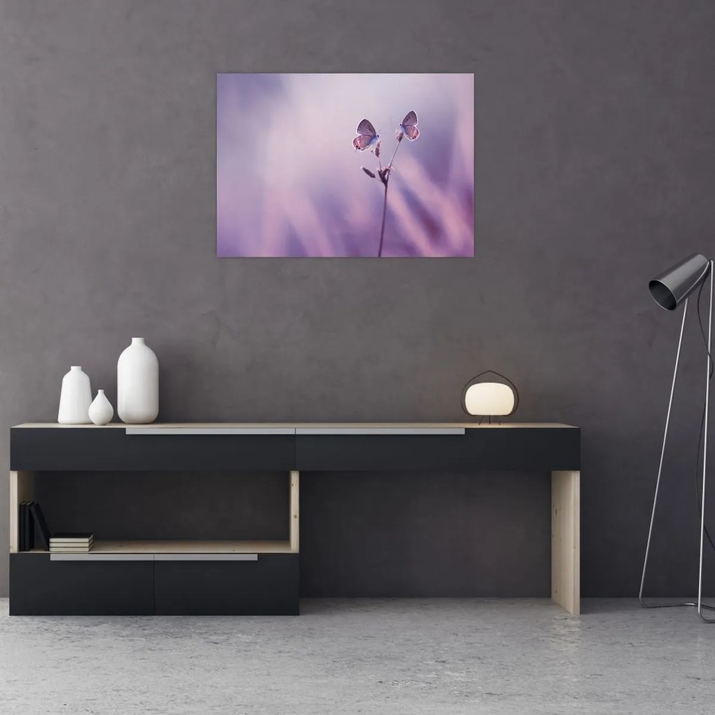 Tablou - Fluturi mov (70x50 cm)