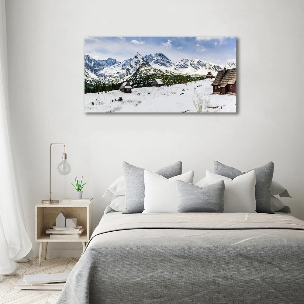 Pictură pe pânză Hale tatry