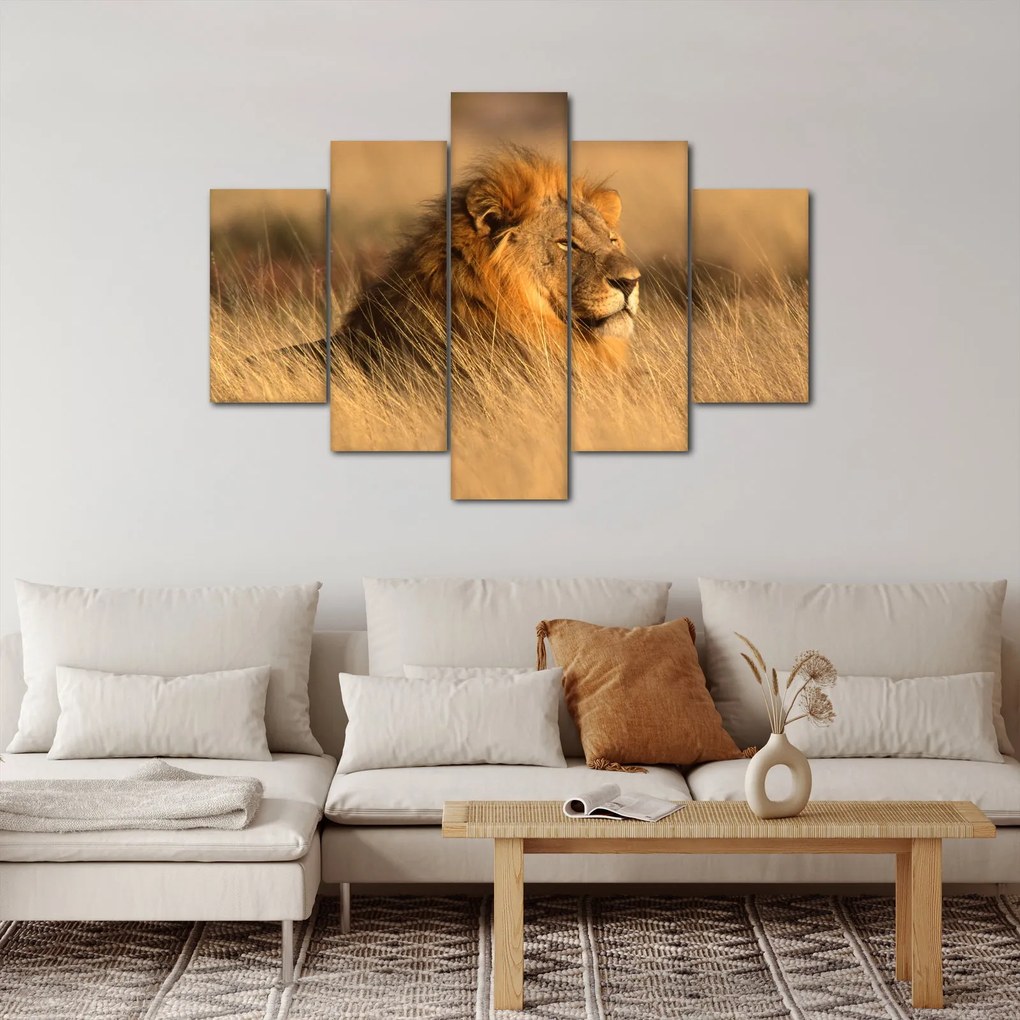 Tablou - Parcul Național Etosha (150x105 cm)