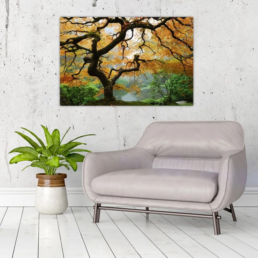 Tablou - Arțarul japonez galben, Portland, Oregon (90x60 cm)