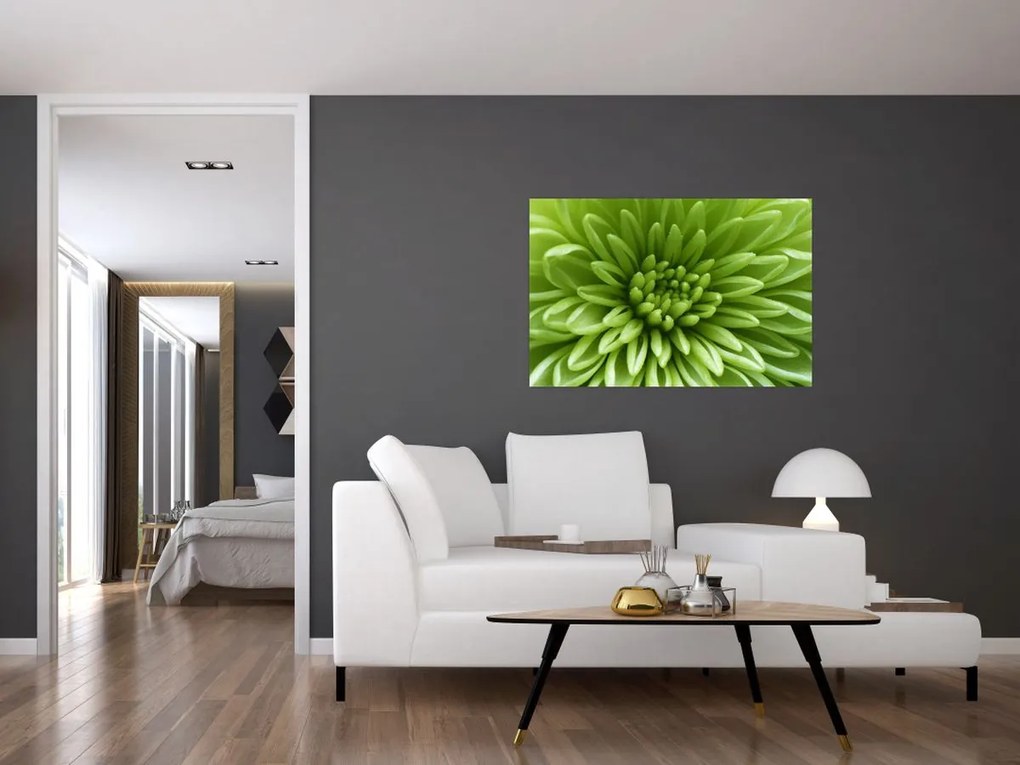 Tablou - Imagine macro a unei plante (90x60 cm)