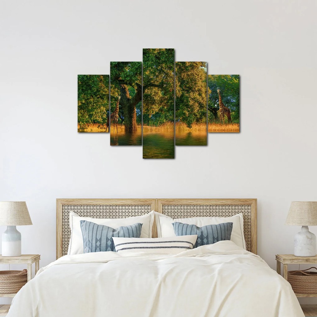 Tablou cu girafe în natură (150x105 cm)