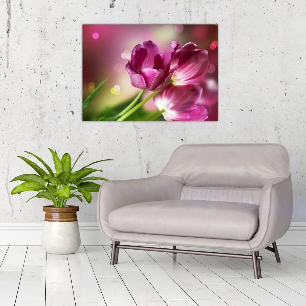 Tablou cu lalele roz (70x50 cm)