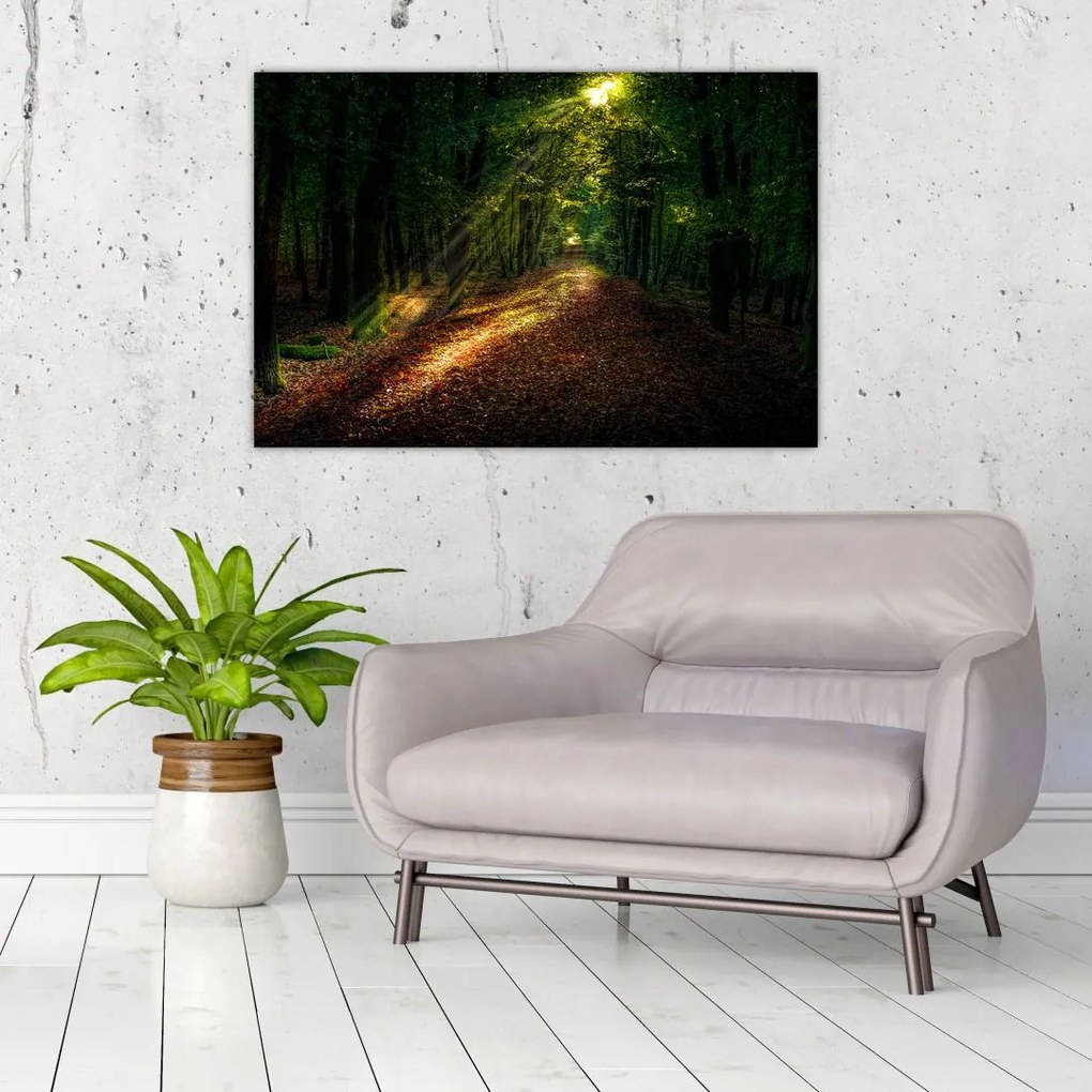 Tablou cu poteca prin pădure (90x60 cm)