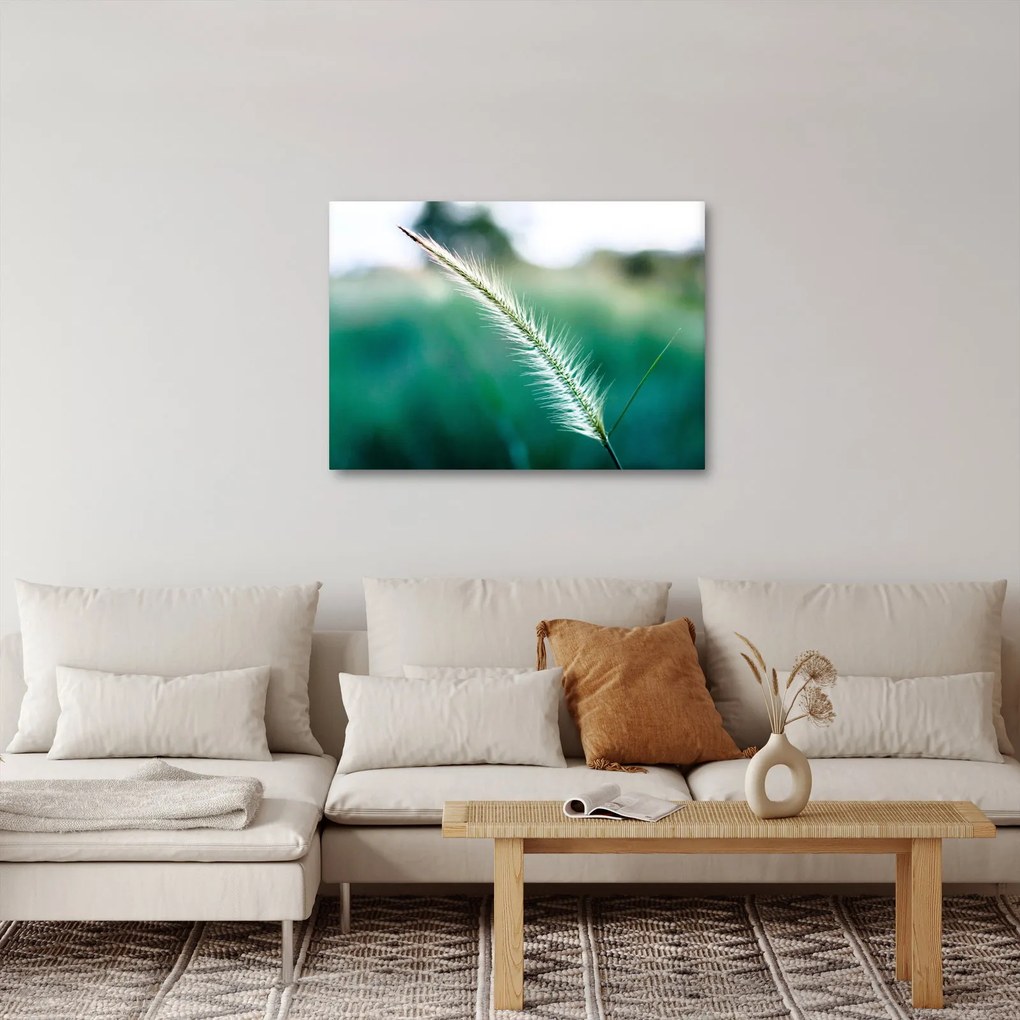Tablou cu fir de iarbă (70x50 cm)