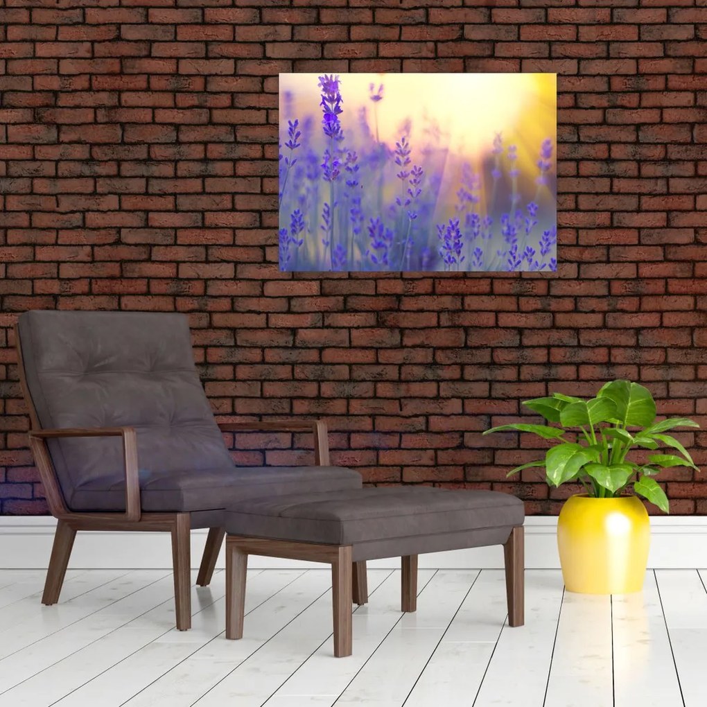 Tablou - Levănțică (70x50 cm)