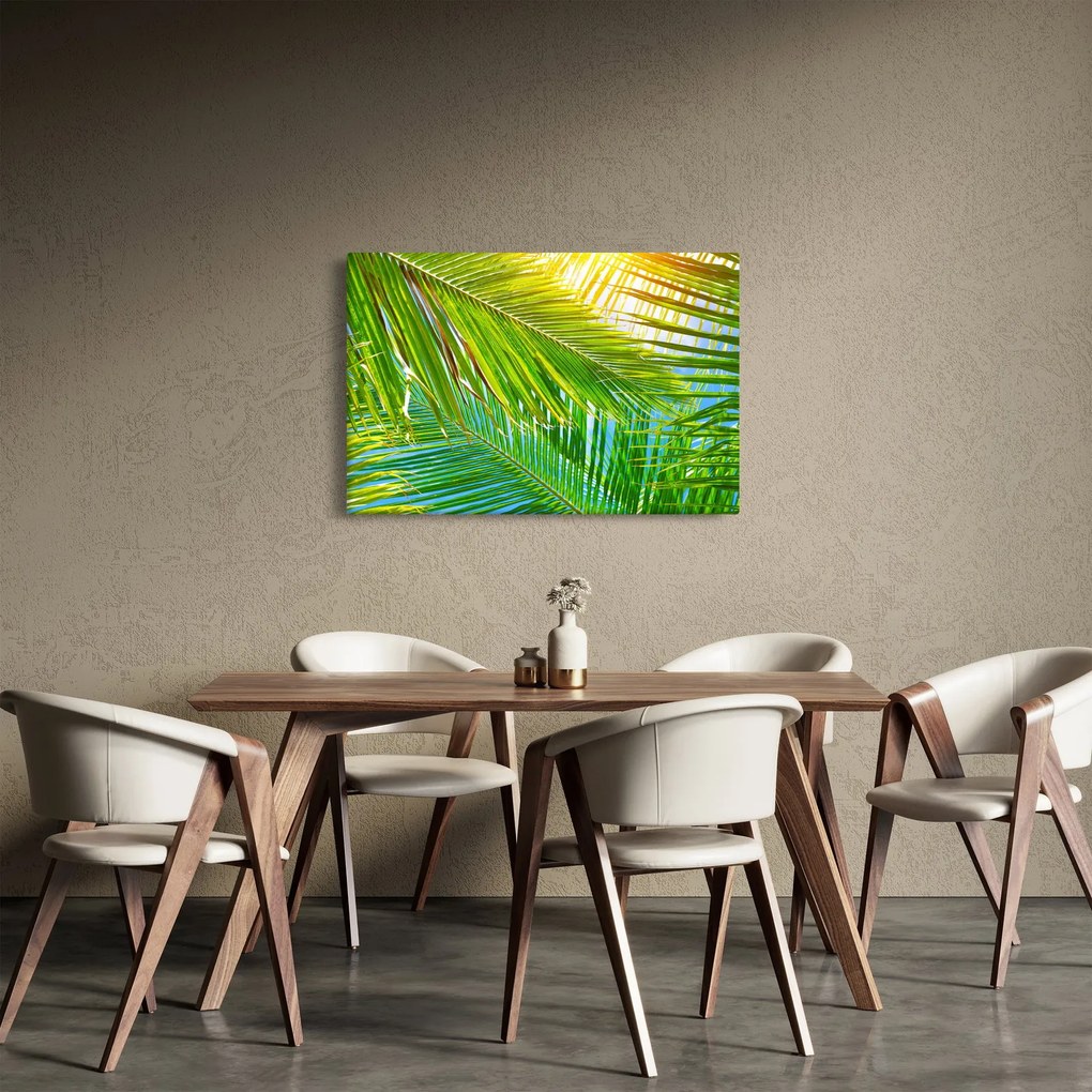 Tablou - Frunze de palmier (90x60 cm)