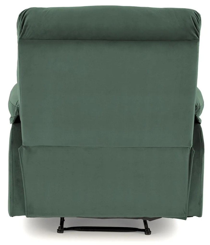 Fotolilu Drago (verde închis). 1092519
