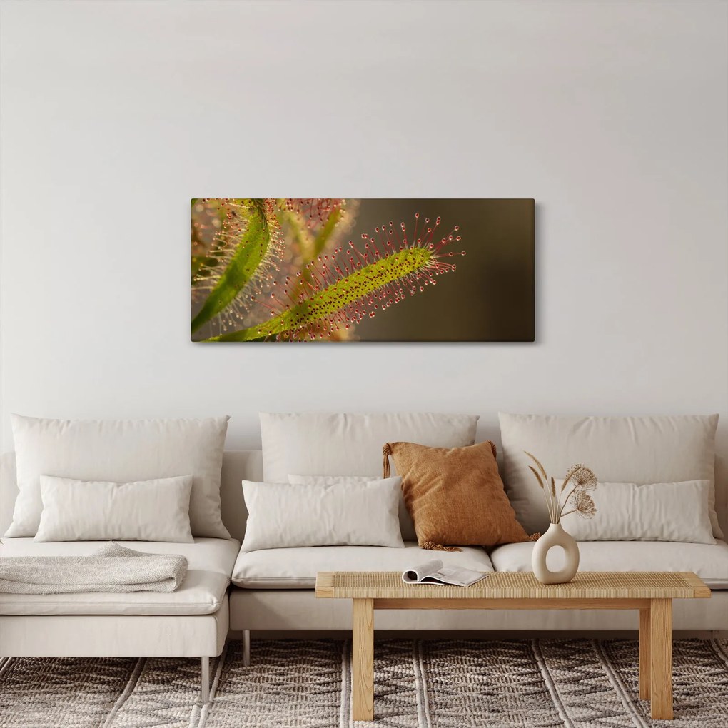 Tablou cu plantă (120x50 cm)