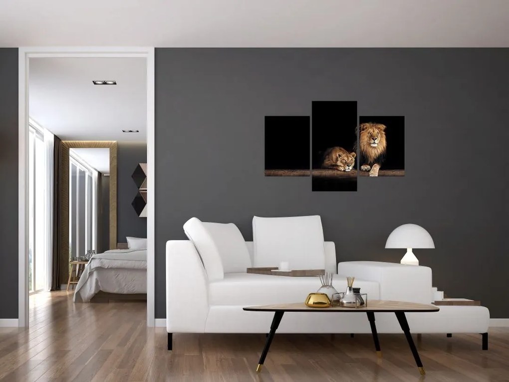 Tablou - Leu și leoaică (90x60 cm)