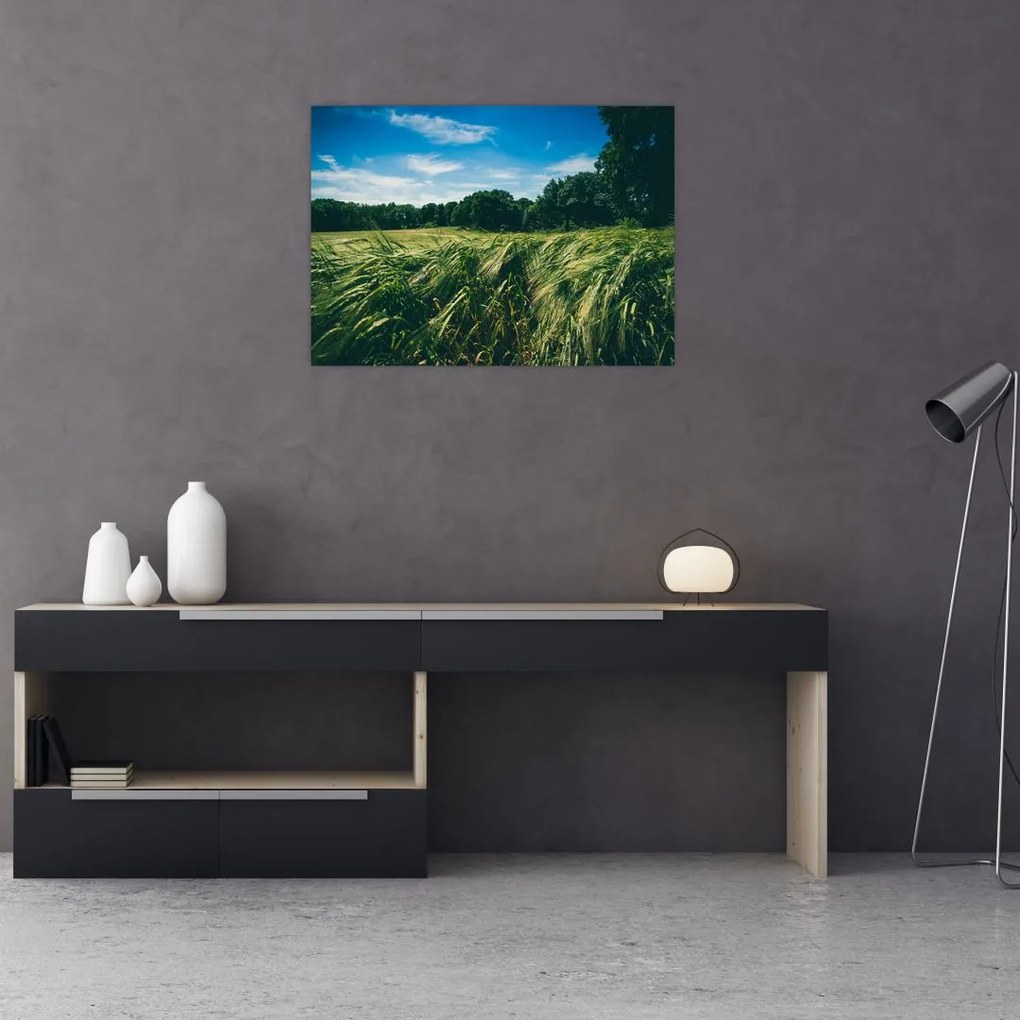 Tablou cu linca și pădure (70x50 cm)