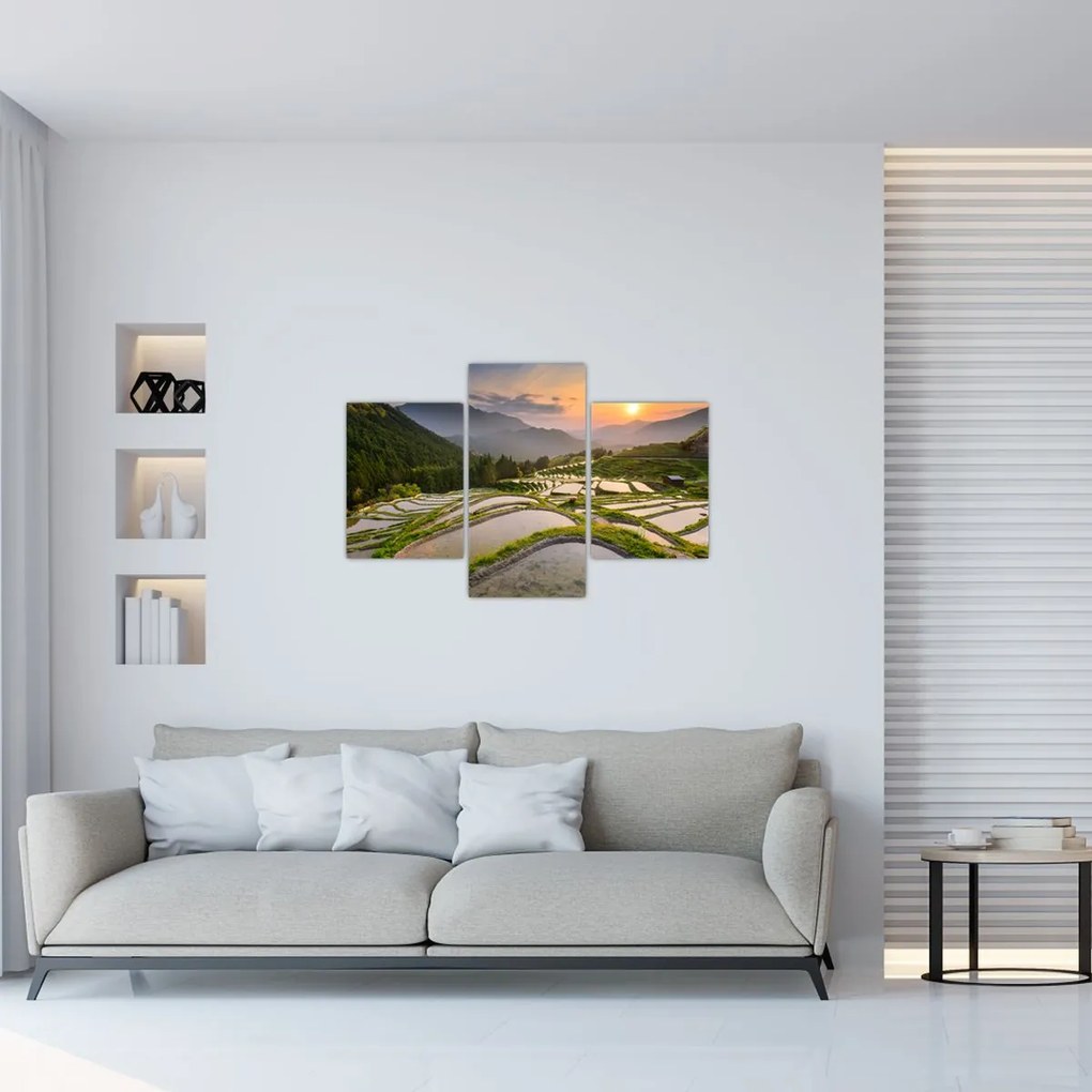 Tablou - Terase de orez (90x60 cm)