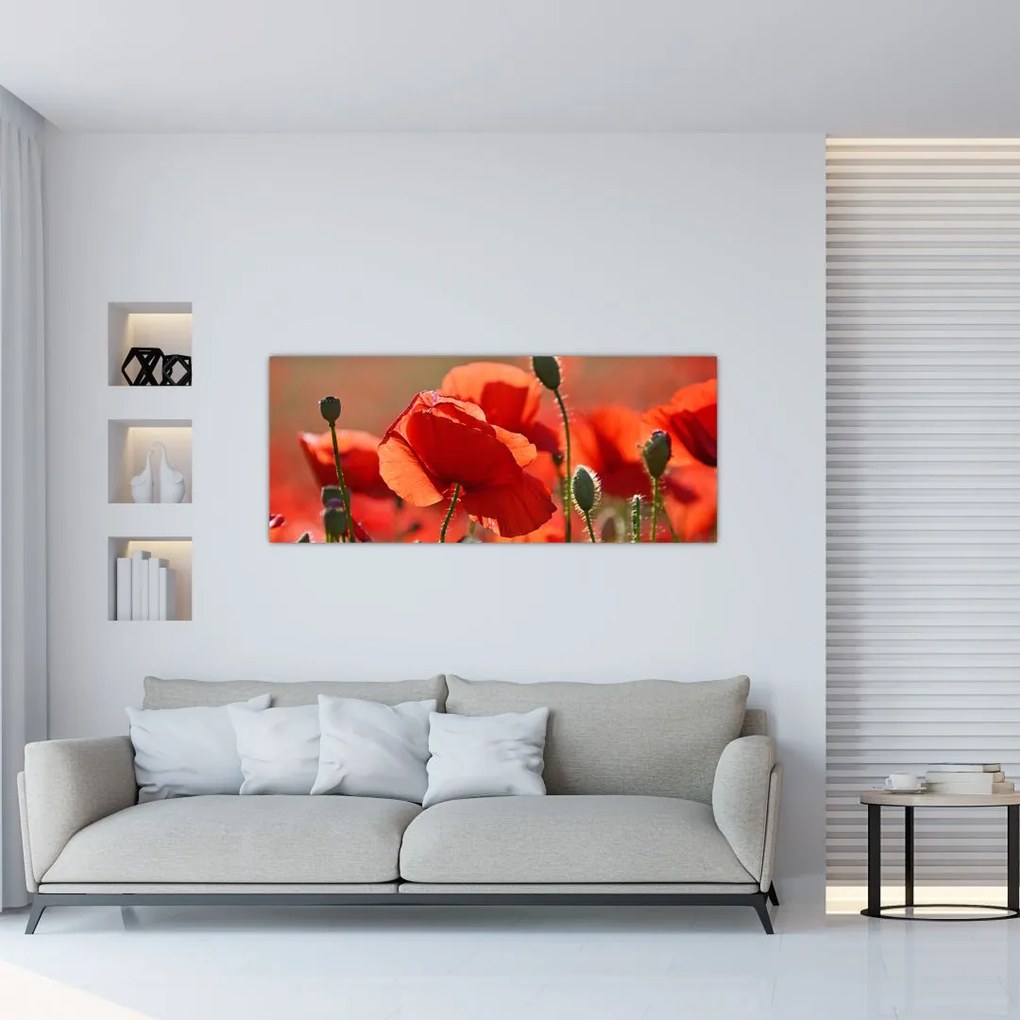 Tablou cu flori de maci (120x50 cm)