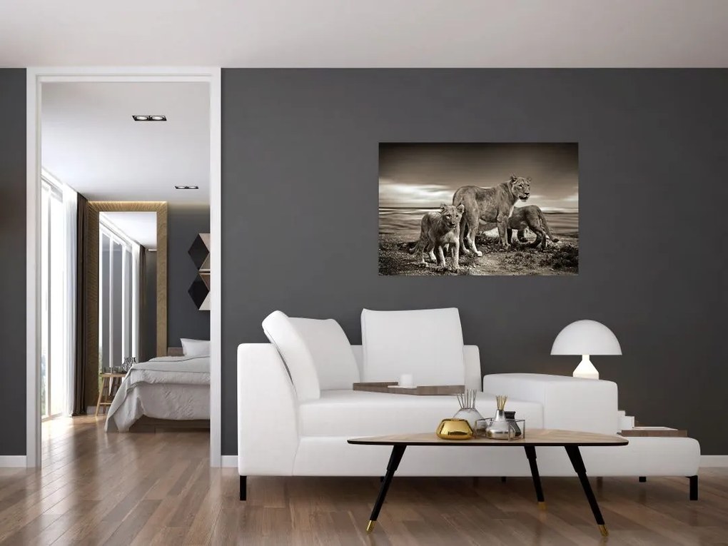 Tablou cu leii alb negri (90x60 cm)