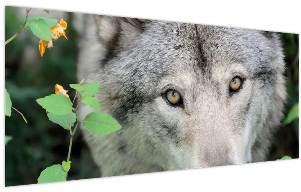 Tablou - Portret de lup (120x50 cm)