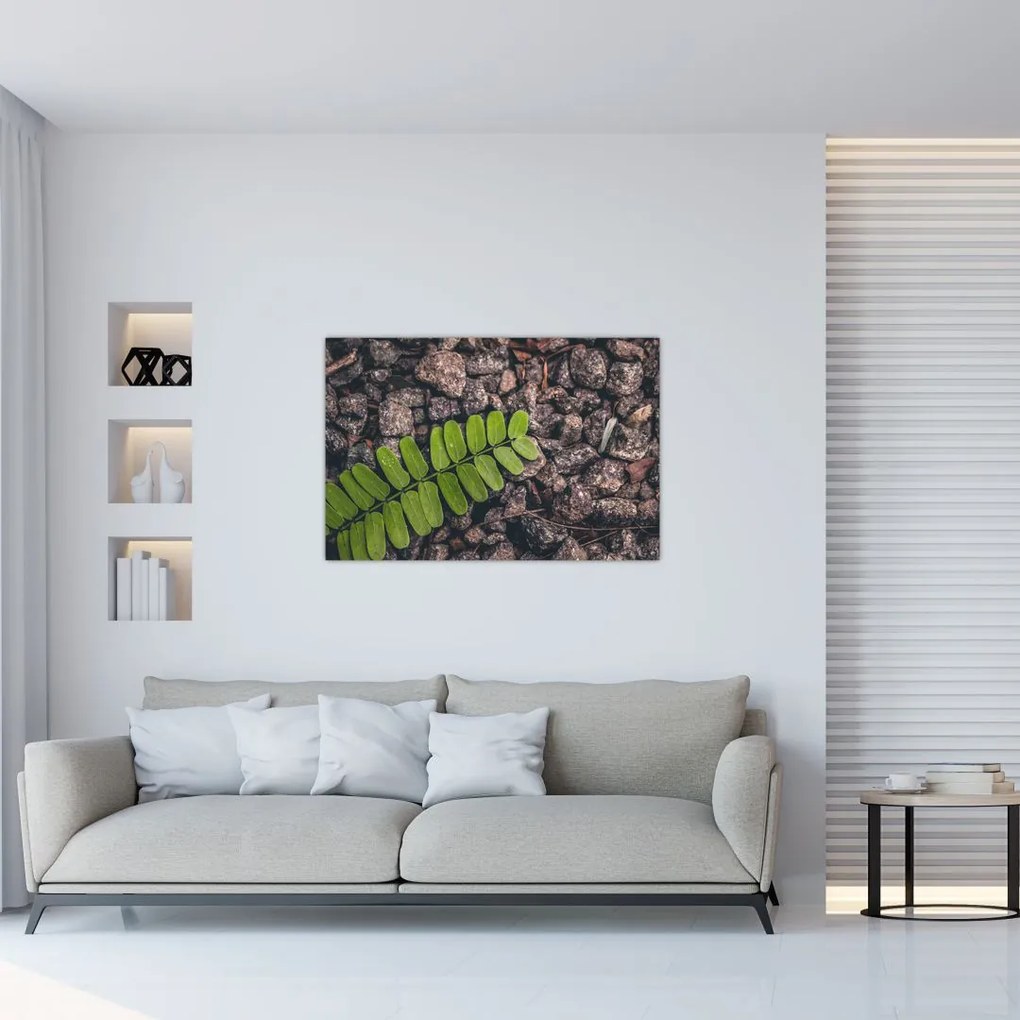 Tablou cu planta verde (90x60 cm)