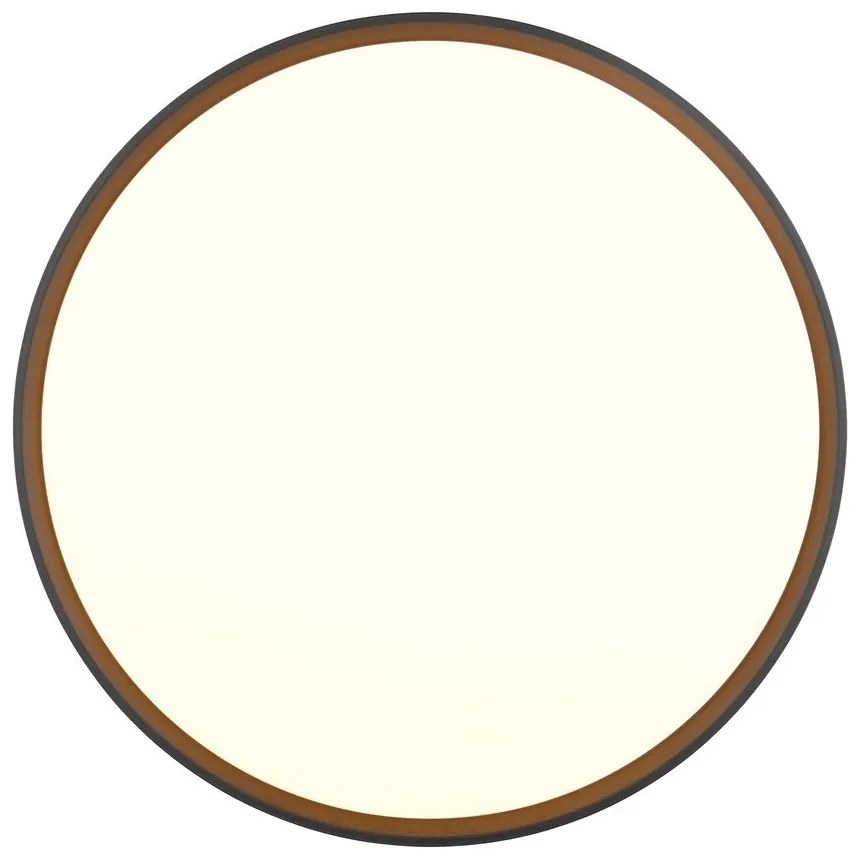 Plafonieră neagră-albă LED ø 47 cm Spacy – Trio