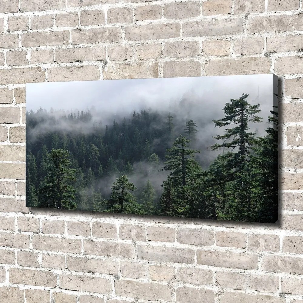 Imprimare tablou canvas Ceață pădure