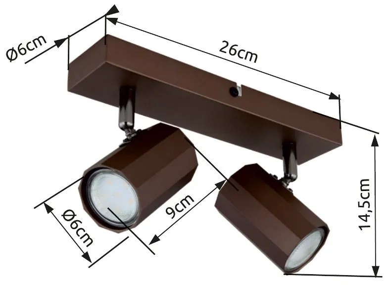 Aplica, Plafoniera cu 2 Spoturi directionabile JAMES bronz