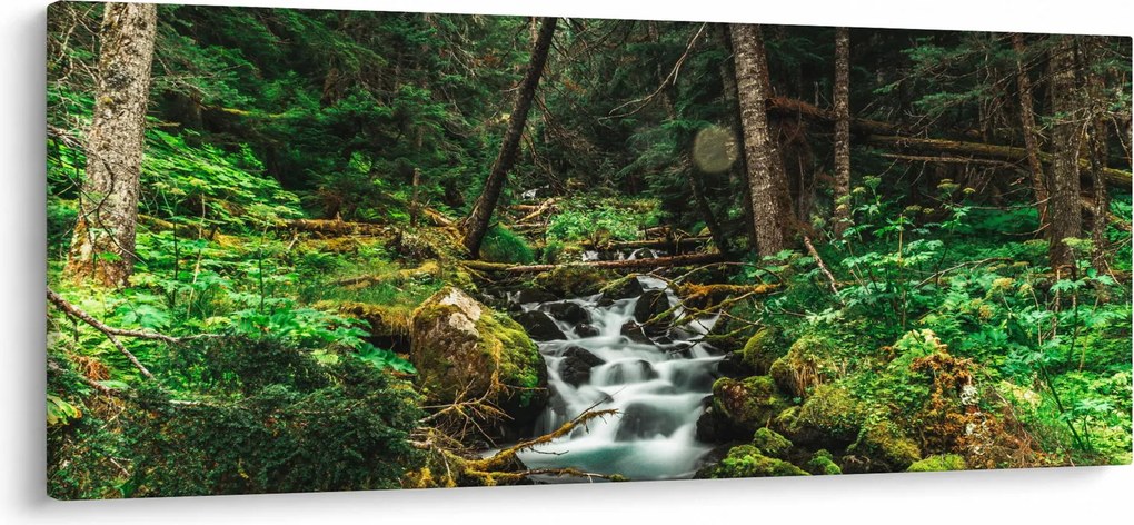 Tablou cu pârău în pădure (120x50 cm)