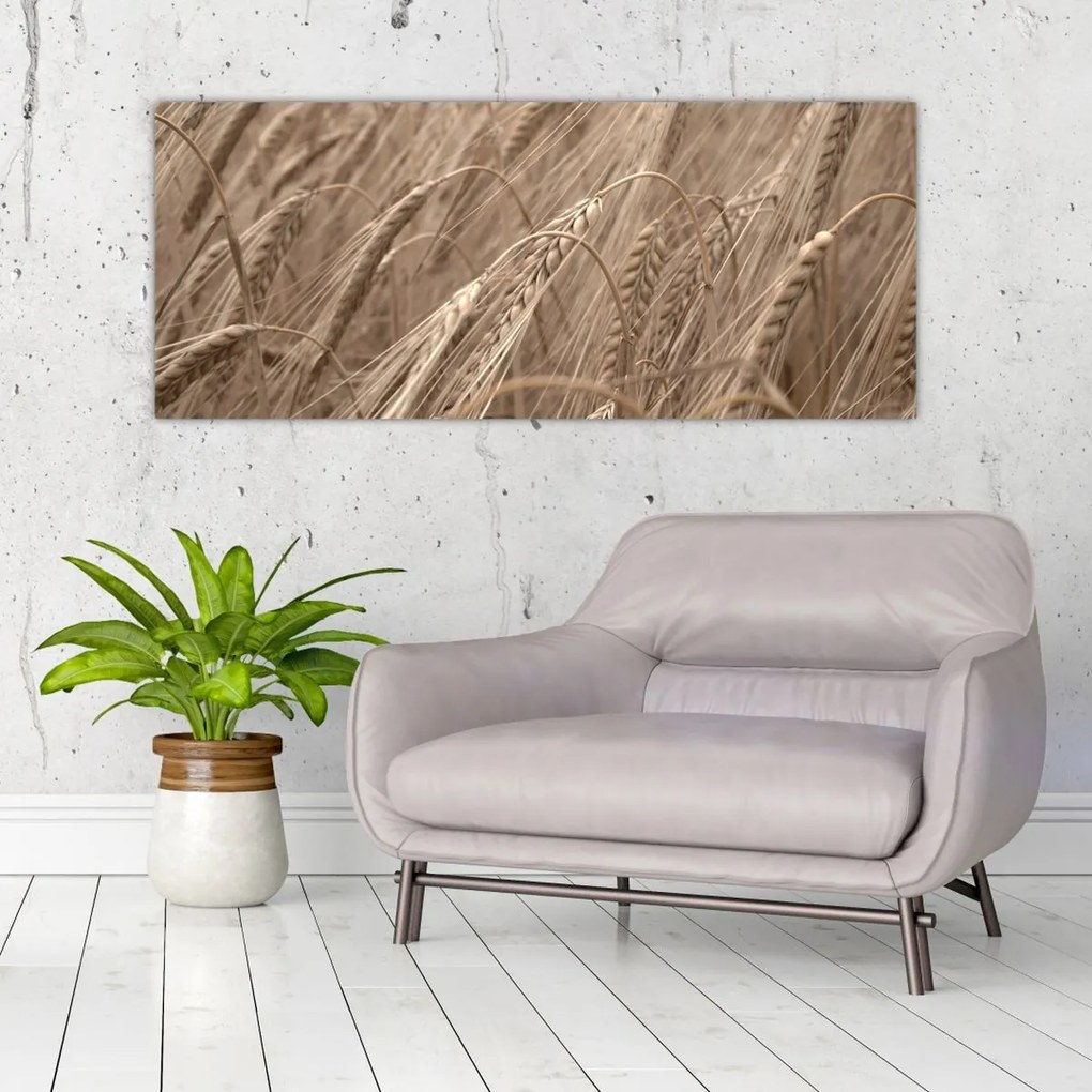Tablou - Câmpul de aur (120x50 cm)