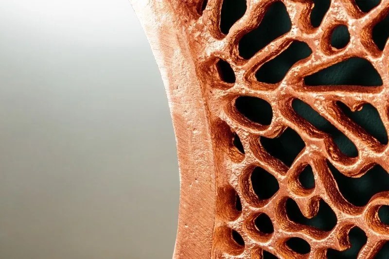 Oglinda de perete decorativa Leaf 110cm L, cupru