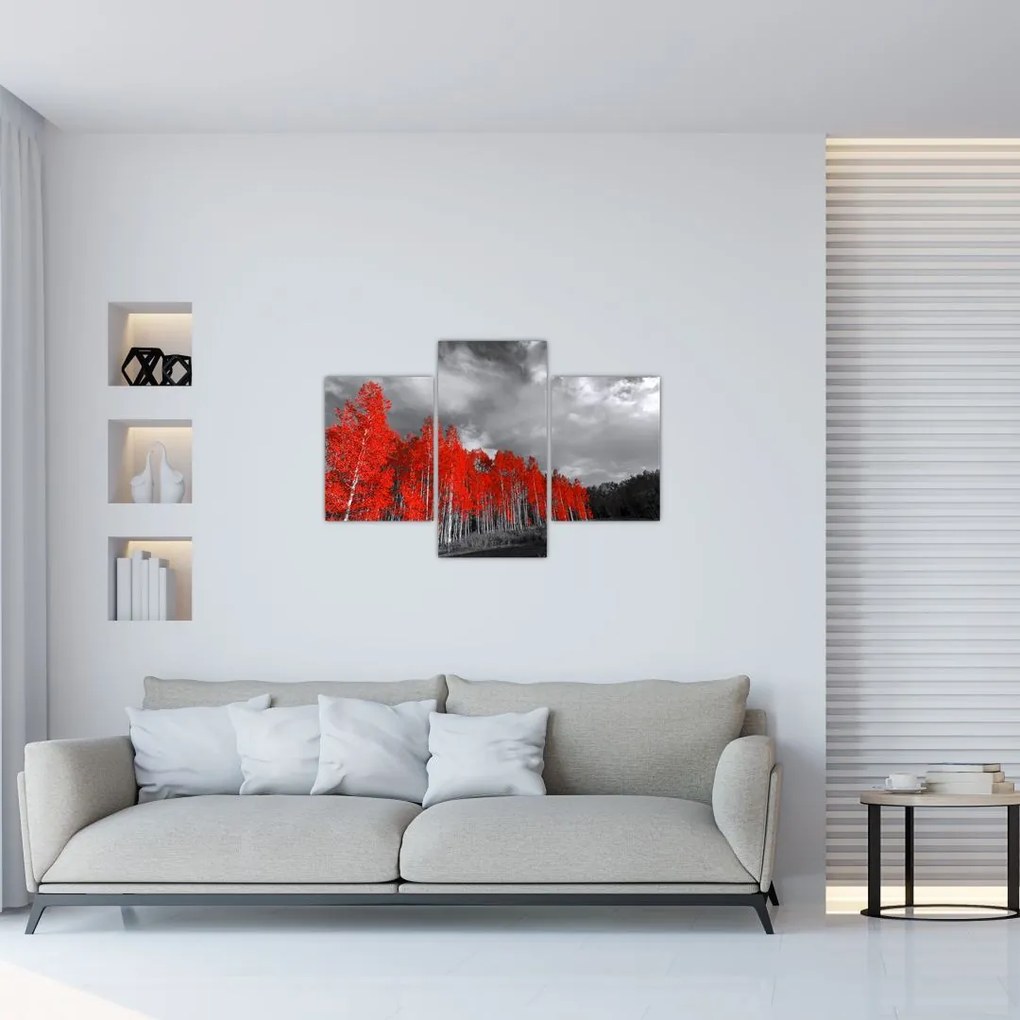 Tablou - Copaci în culorile toamnei (90x60 cm)